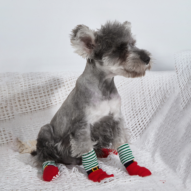 Christmas Petr canis IMPERVIUS velit umbraticis Sports Footwear Watcherproof Socks canes et feles ne sordida non-lapsu socks