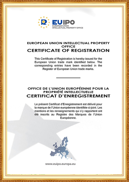 Wan Talk-ի մասին