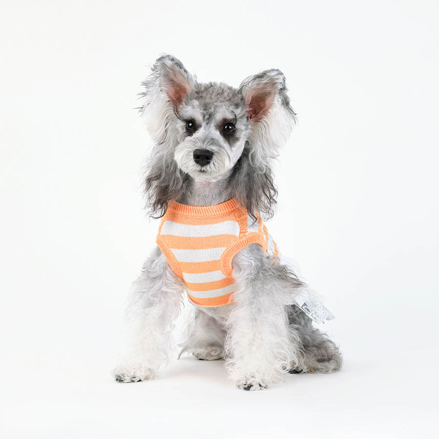 ՇԱՆ ՍՎԻՏԵՐ ՎԱՃԱՌՎԱԾ ՓՈՔՐ ԵՎ ՄԻՋԻՆ ՉԱՓԻ ՇԱՆ ԱՂՋԻԿՆԵՐԻ ՀԱՄԱՐ, ՇԱՆ ՁՄԵՌԱՅԻՆ ՀԱԳՈՒՍՏ ՏԱՔ ԳՈՏՈՎ ԱՆՑՔՈՎ, ՏՐԻԿՈՏ ԿԵՆՏԱՆԻՆԵՐԻ ՍՎԻՏՐ ԼՈԹԱԿ ՀԱԳՈՒՍՏ ԿԱՏՎԻ ՏՐԻԿՈՏ ԶԳԵՍՏ ՄԵԿ ԿՈՏՐԻՑ