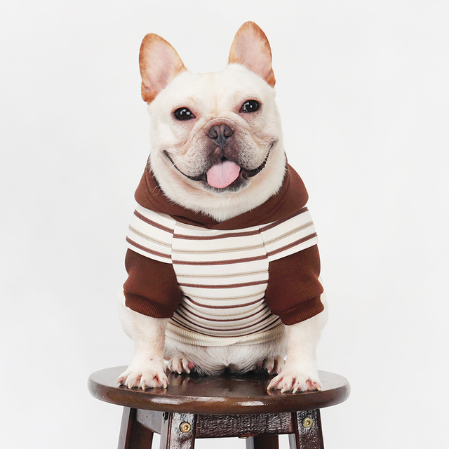 Cardigan Cardigan Cardigan الكلاسيكية - زي عيد الميلاد للبلوزات الأليفة ، زي الكلب عيد الميلاد (أحمر ، أزرق ، أخضر)